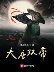 大唐二十一帝 大唐二十一帝