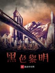 夜幕下的黑色幽灵