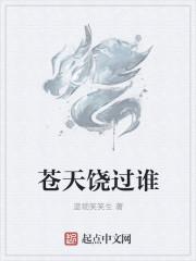 无敌姑爷免费阅读大结局最新
