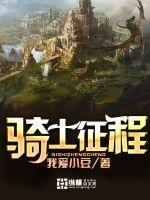 骑士征程小