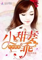 帝少宠妻有点甜(贺宁