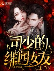司少的秘密宠妻免费阅读