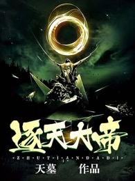 逐天大帝境界划分