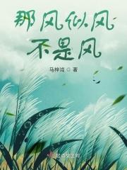 歌词那是风雪