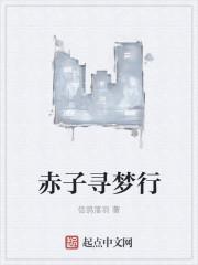 追梦赤子心歌词