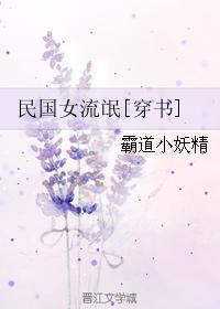 民国第一女流氓是什么电视剧