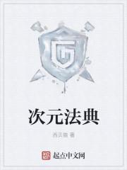 次元法典。作者西贝猫