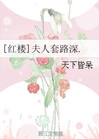 红楼夫人心想事22