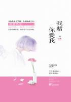 我赌你爱我可是我输了原唱