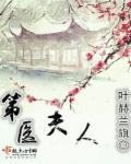 第一夫人完结