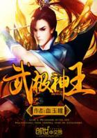 武极神王夕岚是女主吗