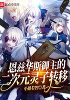 恩兹华斯御主的二次元灵子转移 小愚若智