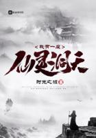 我有一座仙灵洞天 起点
