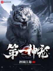 第一宠在线阅读