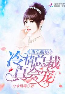 重生暖婚冷面老公无弹窗