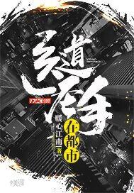 医道圣手txt