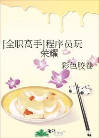 全职高手荣耀黑客联盟 全职高手荣耀黑客联盟