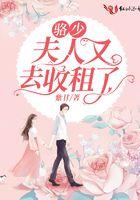 洛少夫人是大佬