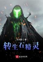 转生精灵少女免费阅读 转生精灵少女免费阅读