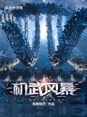 战机风暴