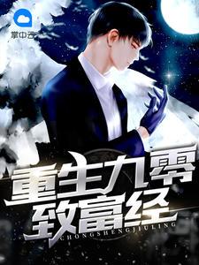 重生九零致富经典