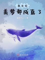 三国全书