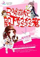 召唤萌妃:殿下轻轻宠 召唤萌妃:殿下轻轻宠