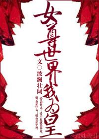 女尊世界的男人们