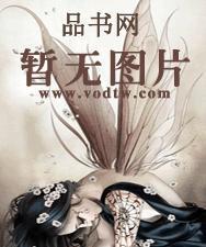 神秘总裁离少狂爱小妻