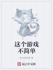 魔法与万象卡片系统