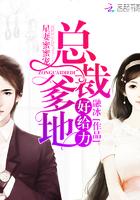 总裁辣妈