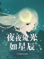 夜夜流光如星辰 夜夜流光如星辰